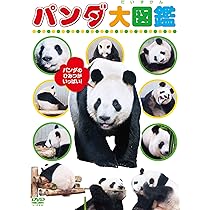 Amazon.co.jp: 『上野のパンダ日和リーリー&シンシン』 [DVD