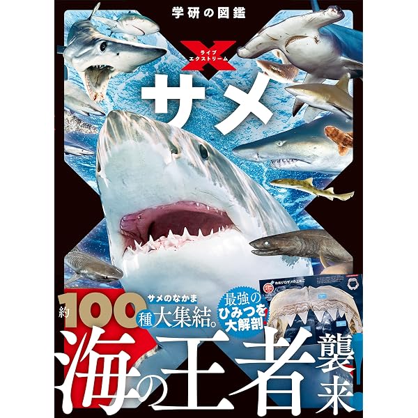 Amazon.co.jp: ホホジロザメ eBook : 沼口麻子, 関俊一: Kindle Store