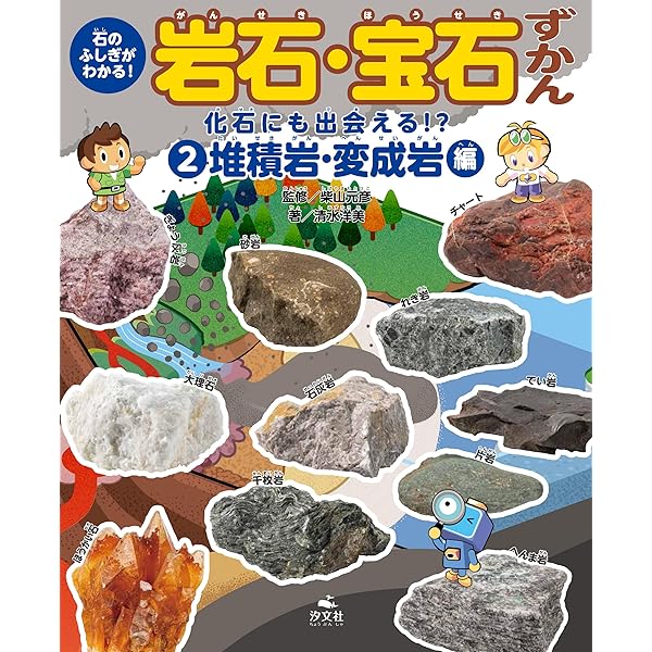 Amazon.co.jp: ①自分でさがせる！ 火成岩編 (石のふしぎがわかる