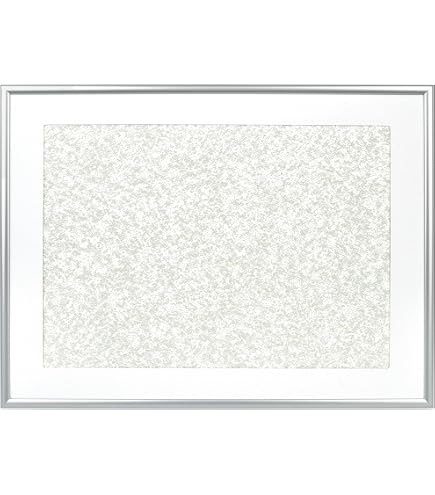 Amazon.co.jp: FUJICOLOR 額縁 A105A アクリル 4切 アルミ シルバー