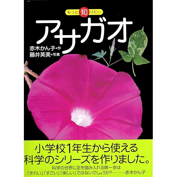 あさがおページ 61CBuypJYcL._UF350,350_QL50_.jpg