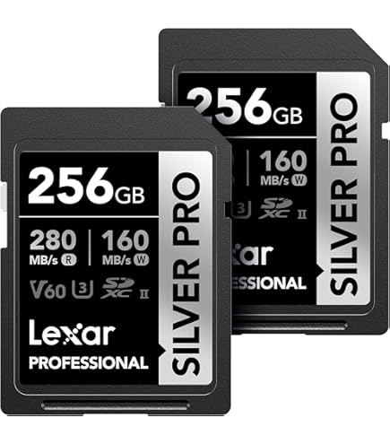 Amazon | Nextorage CFexpress 4.0 Type B 512GB メモリーカード 2枚