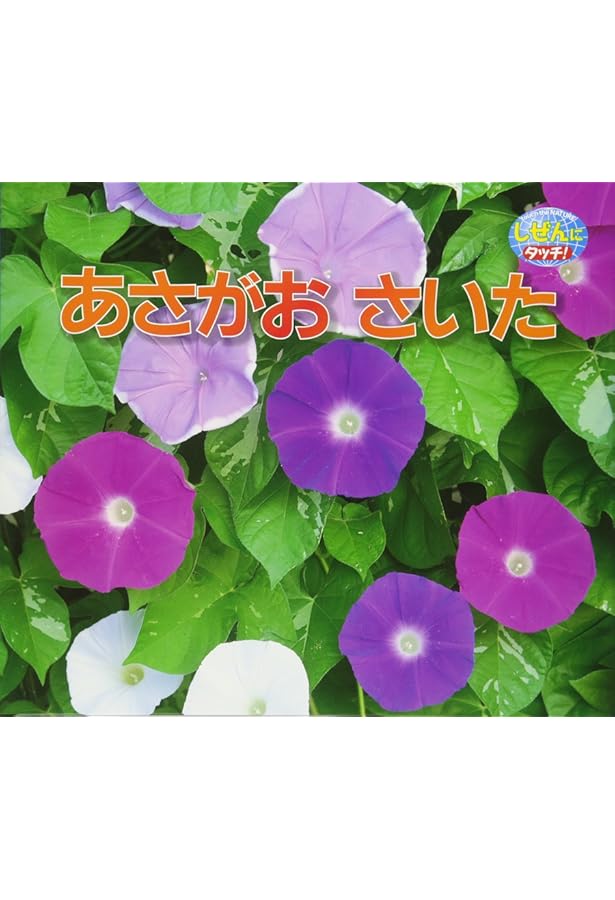 アサガオ 新装版: たねからたねまで (科学のアルバム植物 1) | 佐藤