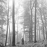 フォークロア -スペシャル・エディション(限定盤)(DVD付)