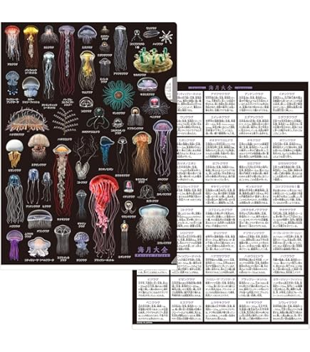 Amazon.co.jp: ザ・アクセス クリアファイル 甲虫 大全クリアファイル