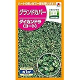 タキイ種苗 ダイカンドラ（コート）