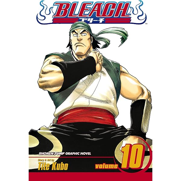 Amazon | Bleach, Vol. 12: Flower on the Precipice | Kubo, Tite