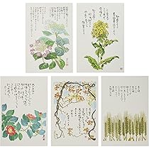 Amazon | グロリアアーツ 星野富弘 絵はがき 5枚セレクト