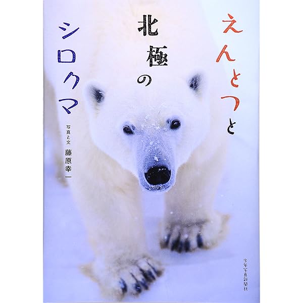 Amazon.co.jp: シロクマ (教科書にのってるどうぶつの赤ちゃん) : 木坂