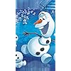 オラフ (Olaf) ディズニー - オラフ (Olaf) iPhoneSE/5s/5c/5(640×1136)壁紙 311173