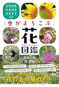 蜂からみた花の世界／佐々木正己著（海遊舎） 67-