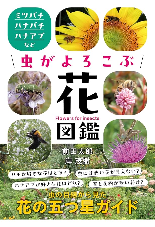 蜂からみた花の世界: 四季の蜜源植物とミツバチからの贈り物 | 佐々木