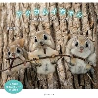 Amazon.co.jp: 森でつながる エゾモモンガ (命のつながり 8) : 原田佳