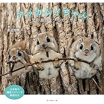 91YxvowAbiL._AC_UL210_SR210,