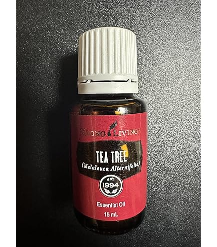 Amazon.co.jp: ラベンダー 15ml ヤングリビング Young Living