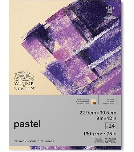Amazon.co.jp: Winsor & Newton プロフェッショナル ソフトパステル 30