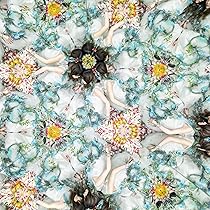 Amazon.co.jp: Little Bouquet/Pastoral (期間生産限定盤) - Aimer