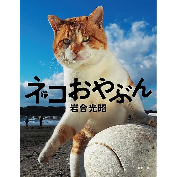 岩合光昭 ニッポン看板猫 NFTデジタル特典付特装版 | 岩合光昭 |本
