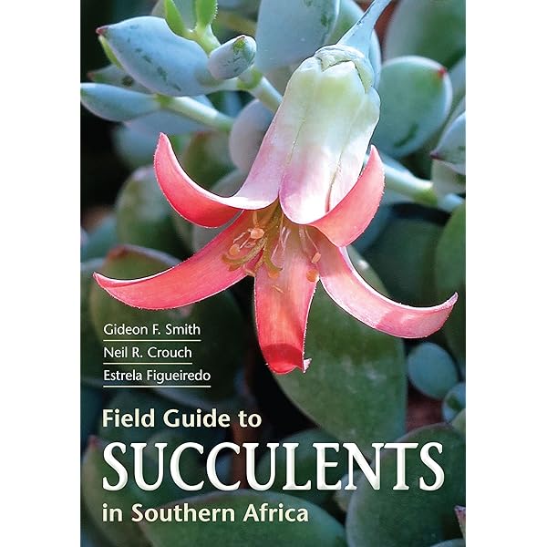 Field Guide to Fynbos eBook : Manning, John: Amazon.com.au