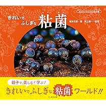 きれいで ふしぎな 粘菌 (森の小さな生きもの紀行1) | 新井 文彦, 川上