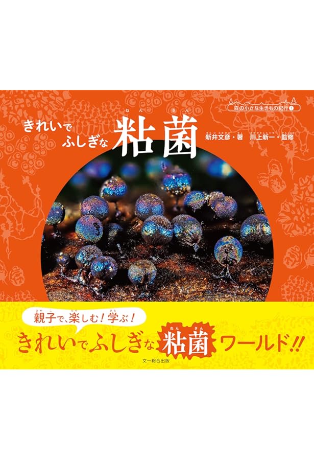 粘菌: 驚くべき生命力の謎 | 松本 淳, 伊沢 正名 |本 | 通販 | Amazon