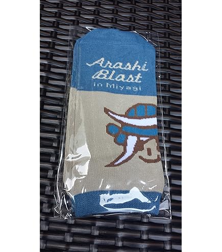 嵐 BLAST in Hawaii グッズ スタッフパス　劇レア 嵐 BLAST in Hawaii グッズ スタッフパス劇レア