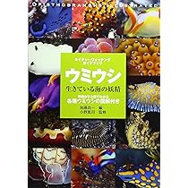 91ZkxXGy3cL._AC_UL210_SR210,