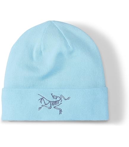 Amazon.co.jp: [アークテリクス] Bird Head Toque Smoke Bluff：Arctic