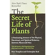 The Secret Life Of Plants A Fascinating Account Of The Physical Emotional And Spiritual Relations Between Plants And Man Tompkins Peter Amazon Sg Books