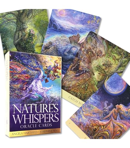 トーキングトゥヘブンミディアムシップカード　日本語版 トーキングトゥヘブン ミディアムシップカード日本語版説明書付