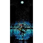 ブラック・ブレット iPhoneSE/5s/5c/5 壁紙 視差効果 藍原 延珠(あいはら えんじゅ) ブラック・ブレット iPhoneSE/5s/5c/5 壁紙 視差効果 藍原 延珠(あいはら えんじゅ)
