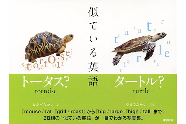 似ている英語