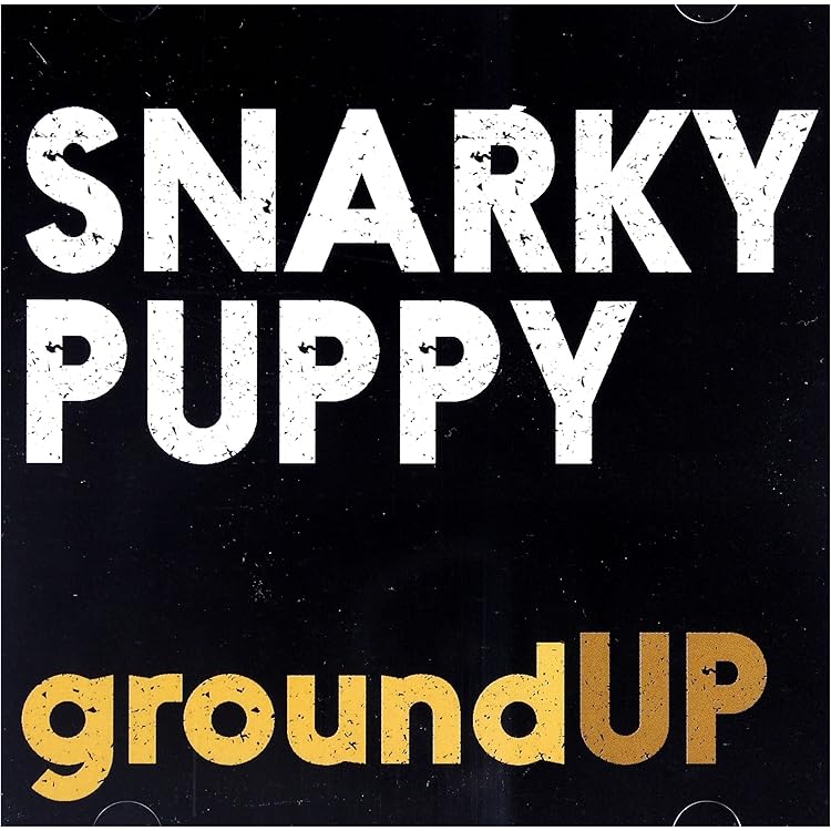 Amazon.co.jp: Sylva -CD+DVD-: ミュージック