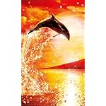 ラッセン FVGA(480×800)壁紙 スペクタクル フジ~ワールドトラベル ラッセン FVGA(480×800)壁紙 スペクタクル フジ~ワールドトラベル