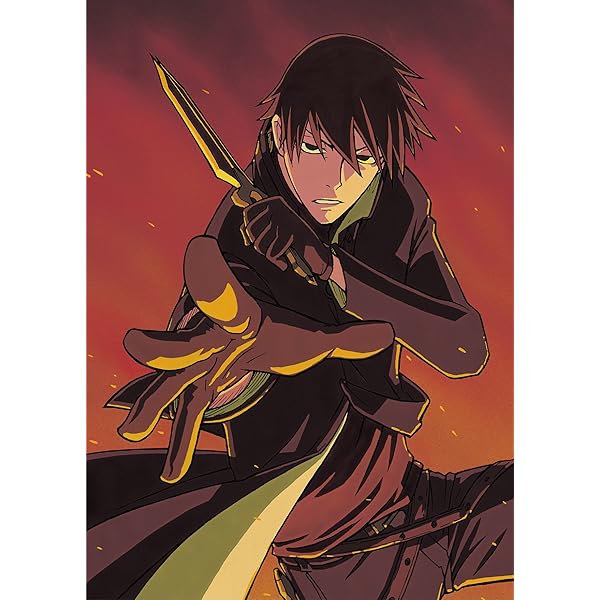DARKER THAN BLACK 流星の双子 DVD 初回全8巻 DARKER THAN BLACK 流星の双子 DVD 初回全8巻 Amazon.co.jp