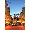 北海道 Iphone 640 960 壁紙 赤れんが庁舎とイチョウ並木 札幌市 その他 スマホ用画像 北海道 Iphone 640 960 壁紙 赤れんが庁舎とイチョウ並木 札幌市 その他 スマホ用画像