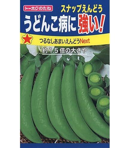 Amazon | サカタのタネ 実咲野菜7172 エンドウ つるなし早どりスナック