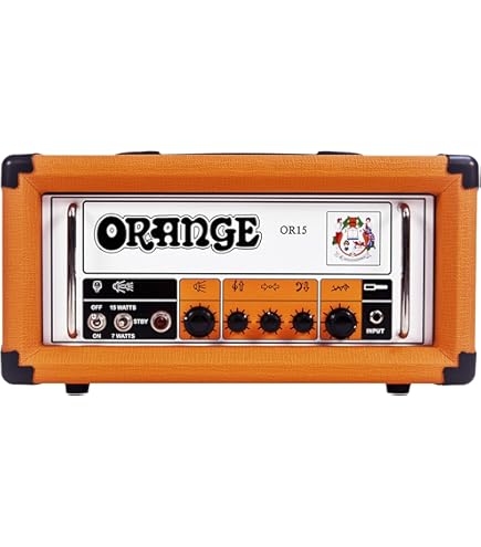 Amazon.co.jp: オレンジロッカーバーブ 100 MKIII - 100ワット 2