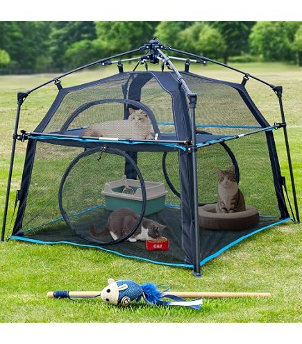 Amazon.co.jp: Itent キャットエンクロージャー 子猫と猫のタワー