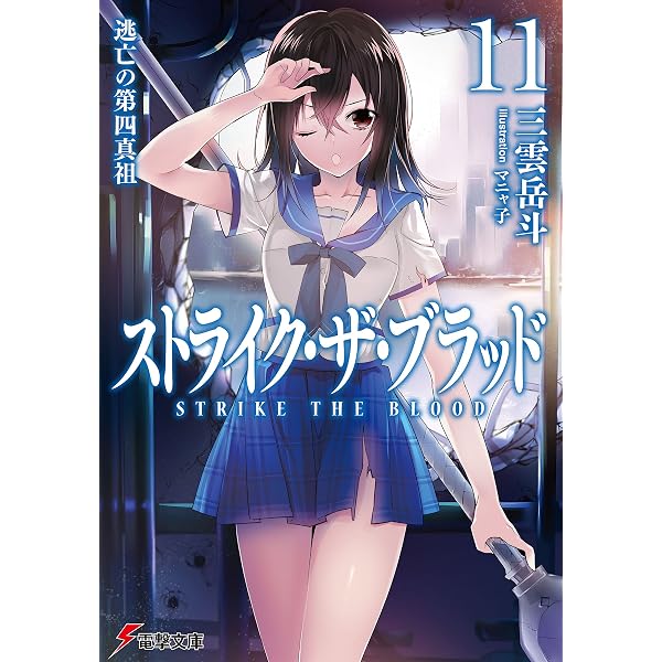 Amazon.co.jp: ストライク・ザ・ブラッド10 冥き神王の花嫁 (電撃文庫 