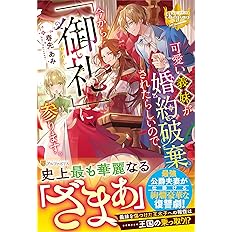 可愛い義妹が婚約破棄されたらしいので 今から 御礼 に参ります レジーナブックス 春先あみ 本 通販 Amazon