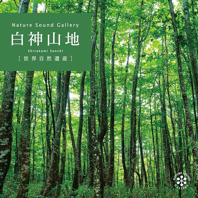 Amazon.co.jp: 小鳥のさえずり: ミュージック