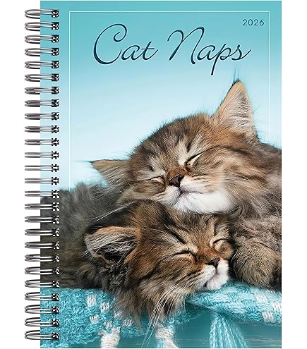 Lang American CAT 2022 Spiral Engagement Planner (22991011081 - View #9