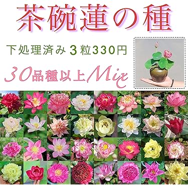 Amazon.co.jp ほしい物ランキング: 花の種 で、ほしい物リストと