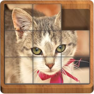 Sliding Blocks Kittens FireTV