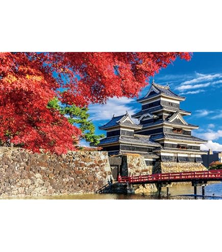 Amazon | 東寺 国宝 両界曼荼羅図 伝真言院曼荼羅 ジグソーパズル