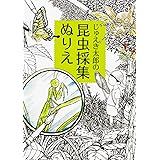 じゅえき太郎の 昆虫採集ぬりえ