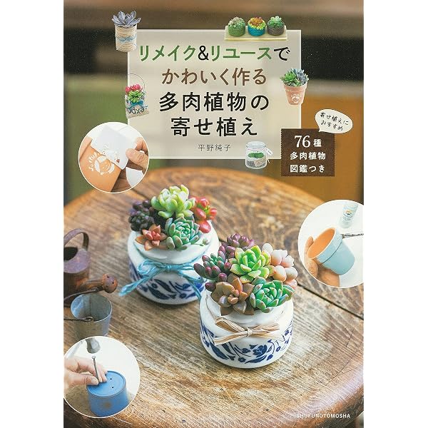 リメ缶とグリーンのスタイリングブック: 簡単DIYで作る、飾る