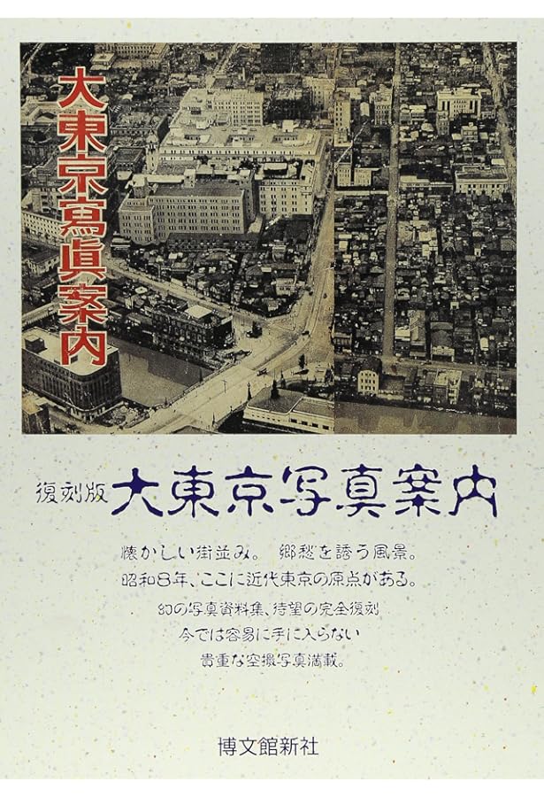 幻景の東京: 写真集 大正・昭和の街と住い | 藤森 照信, 藤岡 洋保