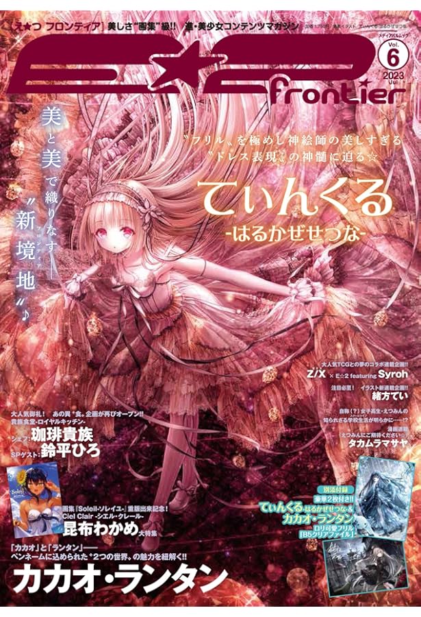 Amazon.co.jp: E☆2(えつ) frontier Vol.10 (メディアパルムック) : 本